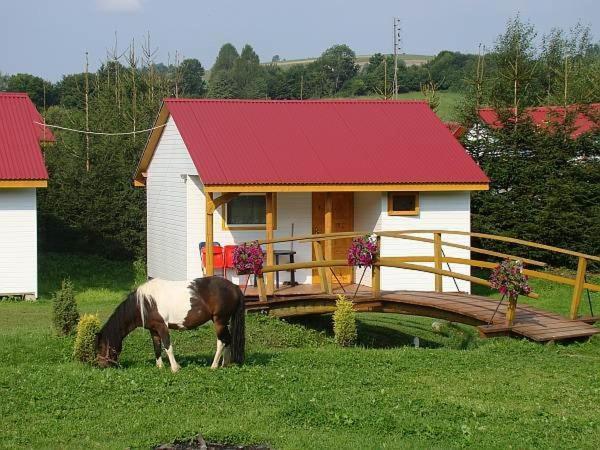 Domek Letniskowy 7 Zawóz Buitenkant foto